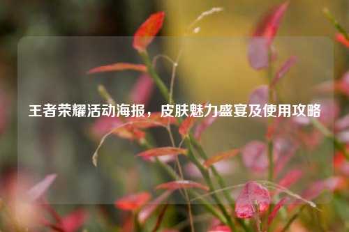 王者荣耀活动海报,皮肤魅力盛宴及使用攻略