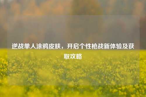 逆战单人涂鸦皮肤,开启个性枪战新体验及获取攻略
