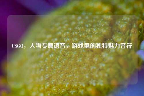 CSGO,人物专属语音,游戏里的独特魅力音符