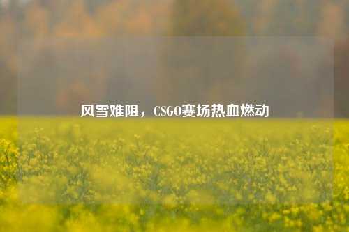 风雪难阻,CSGO赛场热血燃动