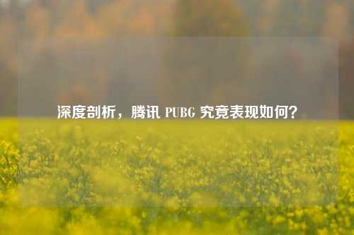深度剖析，腾讯 PUBG 究竟表现如何？