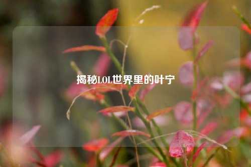 揭秘LOL世界里的叶宁