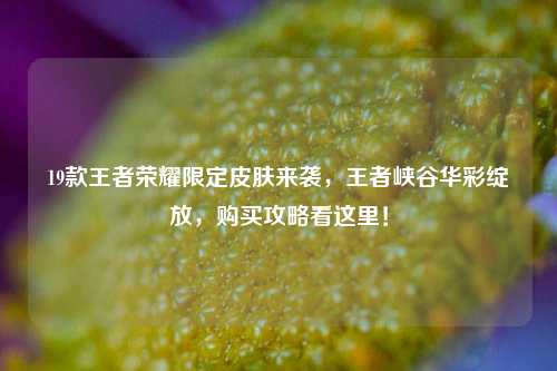 19款王者荣耀限定皮肤来袭,王者峡谷华彩绽放,购买攻略看这里!