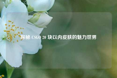 探秘 CSGO 20 块以内皮肤的魅力世界