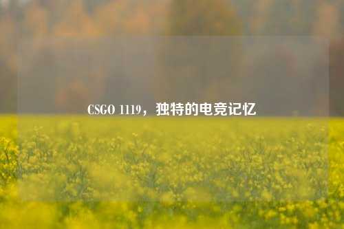 CSGO 1119,独特的电竞记忆