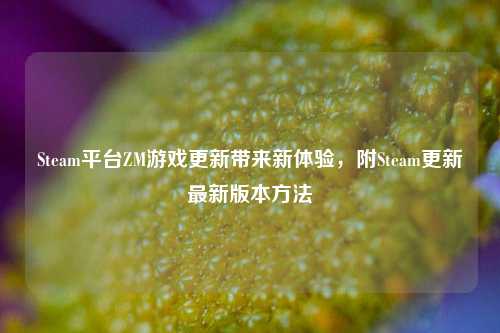 Steam平台ZM游戏更新带来新体验,附Steam更新最新版本方法