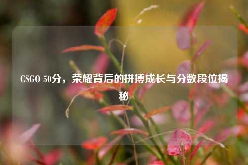 CSGO 50分,荣耀背后的拼搏成长与分数段位揭秘