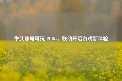 拳头账号可玩 PUBG,联动开启游戏新体验