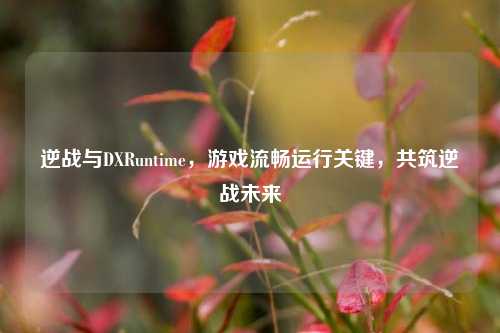 逆战与DXRuntime,游戏流畅运行关键,共筑逆战未来