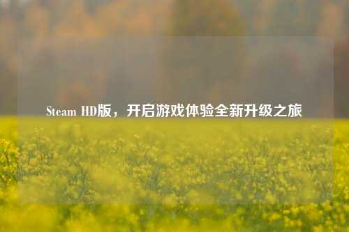 Steam HD版，开启游戏体验全新升级之旅