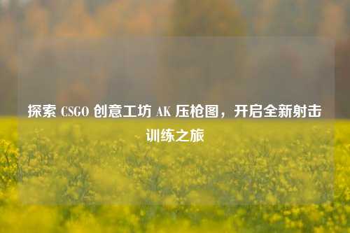 探索 CSGO 创意工坊 AK 压枪图,开启全新射击训练之旅
