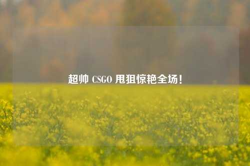 超帅 CSGO 甩狙惊艳全场!