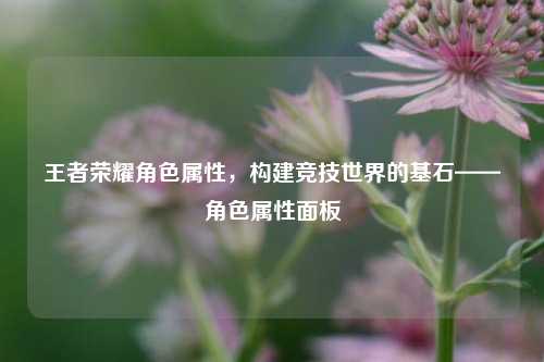 王者荣耀角色属性,构建竞技世界的基石——角色属性面板