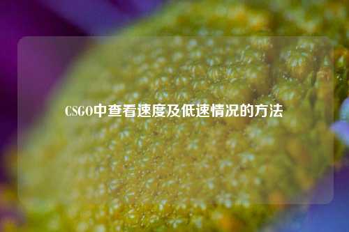 CSGO中查看速度及低速情况的方法