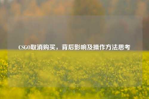 CSGO取消购买,背后影响及操作方法思考