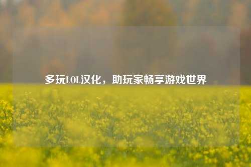 多玩LOL汉化,助玩家畅享游戏世界