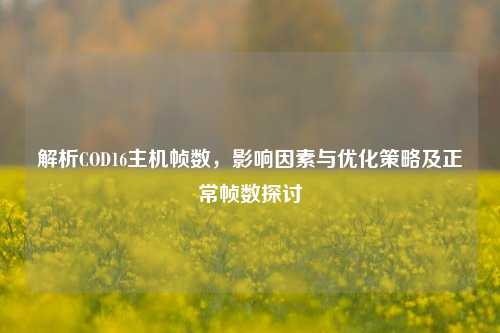 解析COD16主机帧数,影响因素与优化策略及正常帧数探讨
