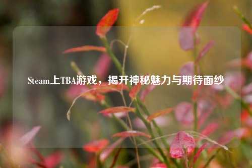 Steam上TBA游戏,揭开神秘魅力与期待面纱