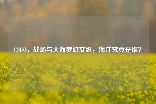 CSGO，战场与大海梦幻交织，海洋究竟是谁？