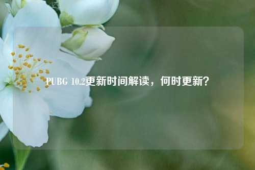 PUBG 10.2更新时间解读,何时更新?