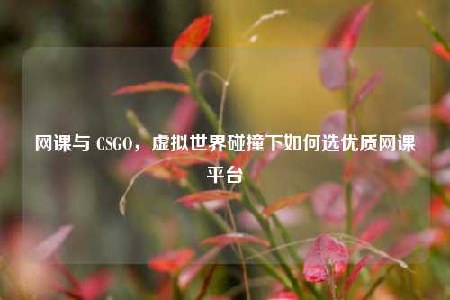 网课与 CSGO,虚拟世界碰撞下如何选优质网课平台