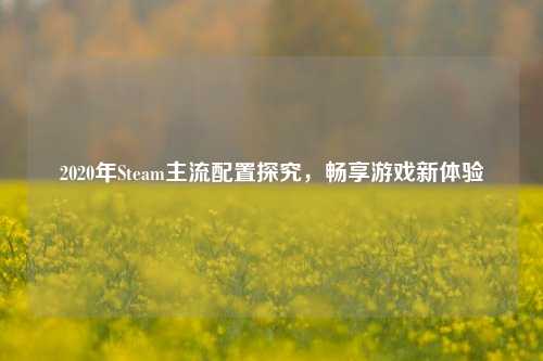 2020年Steam主流配置探究,畅享游戏新体验