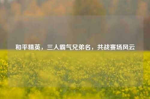 和平精英,三人霸气兄弟名,共战赛场风云