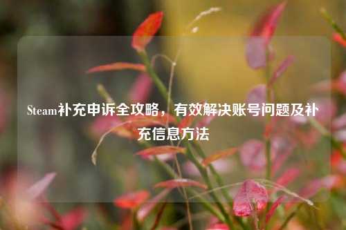 Steam补充申诉全攻略,有效解决账号问题及补充信息方法
