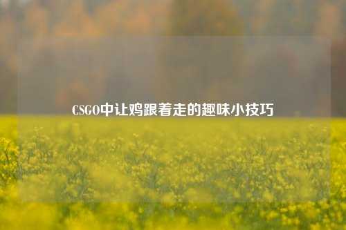 CSGO中让鸡跟着走的趣味小技巧