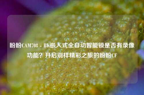 盼盼CAM708 - BK嵌入式全自动智能锁是否有录像功能?开启别样精彩之旅的盼盼CF