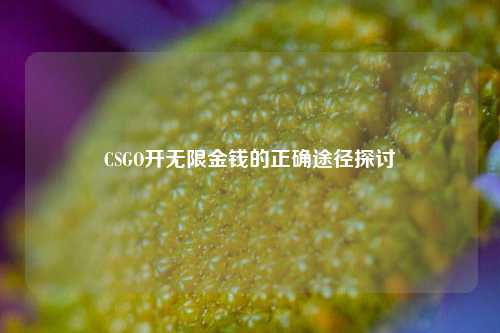 CSGO开无限金钱的正确途径探讨