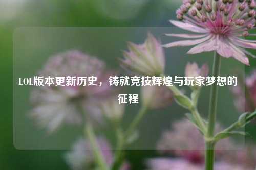 LOL版本更新历史,铸就竞技辉煌与玩家梦想的征程