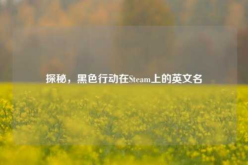 探秘,黑色行动在Steam上的英文名