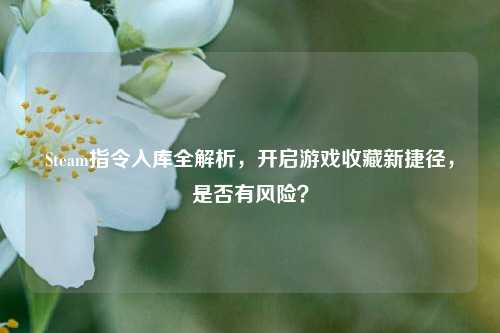Steam指令入库全解析，开启游戏收藏新捷径，是否有风险？