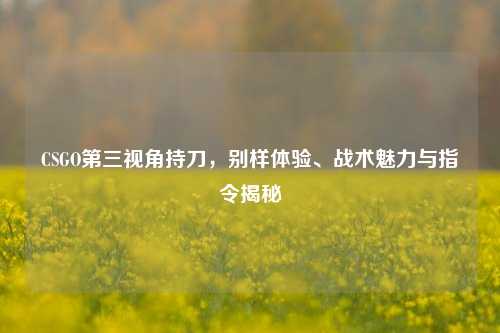 CSGO第三视角持刀,别样体验、战术魅力与指令揭秘