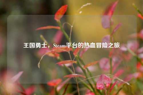 王国勇士,Steam平台的热血冒险之旅