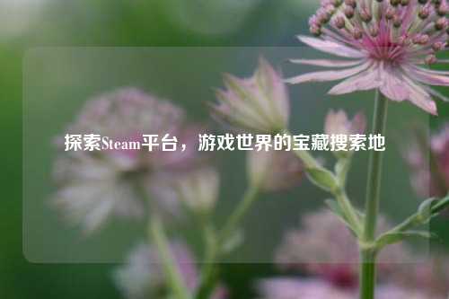 探索Steam平台，游戏世界的宝藏搜索地