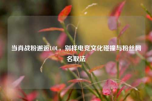 当肖战粉邂逅LOL,别样电竞文化碰撞与粉丝网名取法