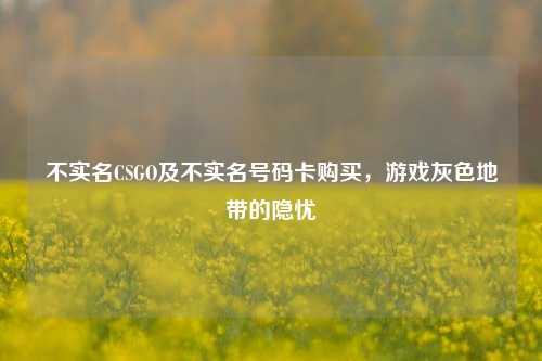 不实名CSGO及不实名号码卡购买,游戏灰色地带的隐忧
