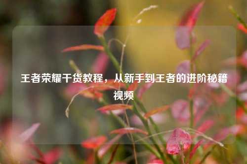 王者荣耀干货教程,从新手到王者的进阶秘籍视频