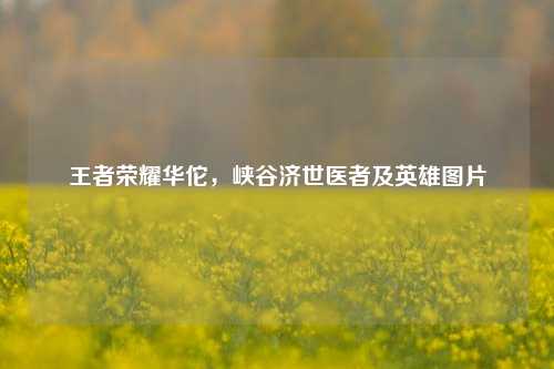 王者荣耀华佗,峡谷济世医者及英雄图片