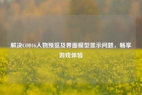 解决COD16人物预览及界面模型显示问题，畅享游戏体验