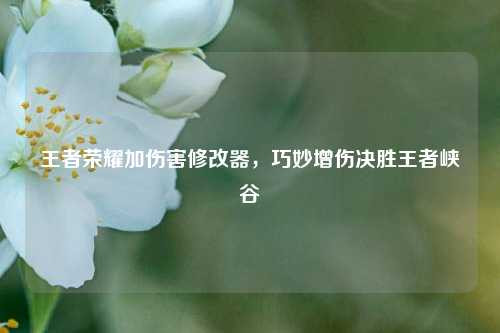 王者荣耀加伤害修改器,巧妙增伤决胜王者峡谷