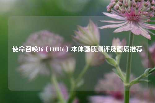 使命召唤16(COD16)本体画质测评及画质推荐