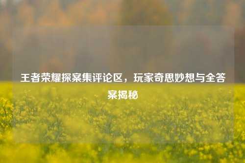 王者荣耀探案集评论区,玩家奇思妙想与全答案揭秘
