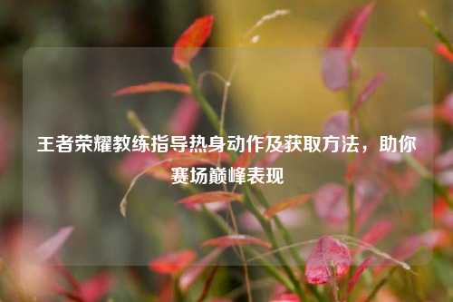 王者荣耀教练指导热身动作及获取方法，助你赛场巅峰表现