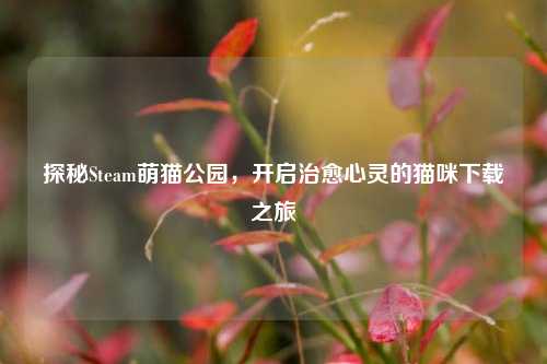 探秘Steam萌猫公园,开启治愈心灵的猫咪下载之旅