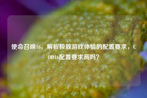 使命召唤16,解析极致游戏体验的配置要求,COD16配置要求高吗?
