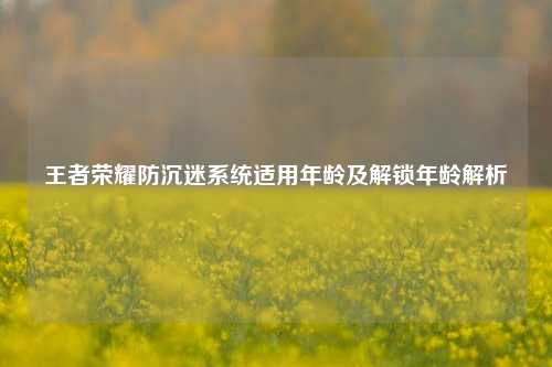 王者荣耀防沉迷系统适用年龄及解锁年龄解析