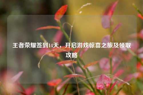 王者荣耀签到14天,开启游戏惊喜之旅及领取攻略